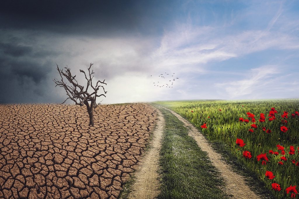 Climate change brand Vani